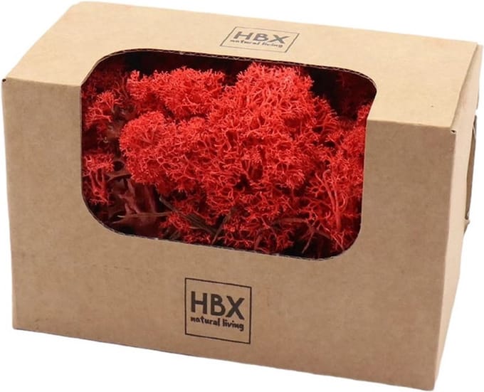 HBX Natural Living Decoratie mos - 2x - rood - 100 gram - rendiermos - hobby