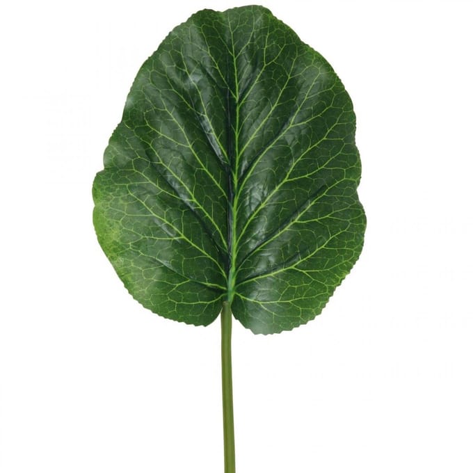 Groene kunstplant Bergenia Groene kunstplant 53cm