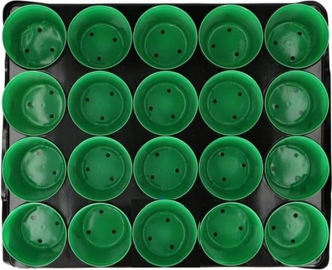 Kweekpotten, 20 stuks in tray
