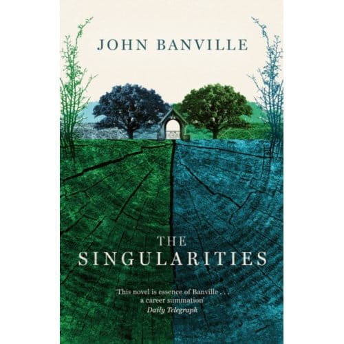 The Singularities - John Banville