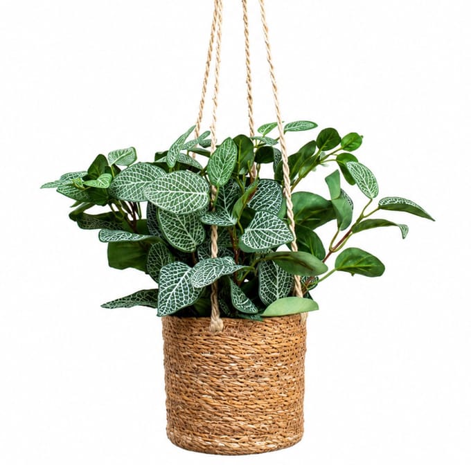 Kunstplant Pilea bush in hangmand naturel L100cm