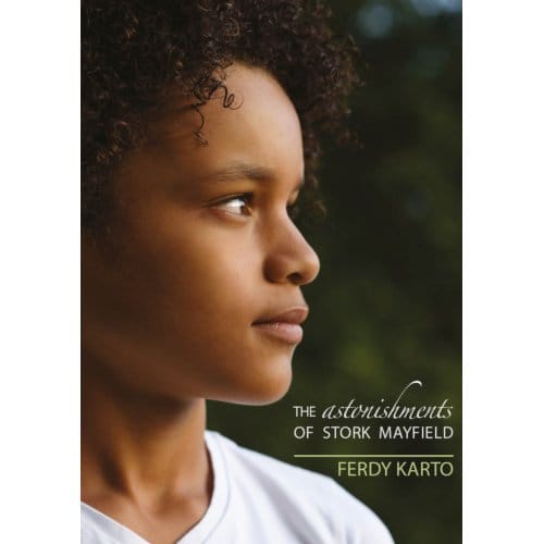 The Astonishments Of Stork Mayfield - Ferdy Karto