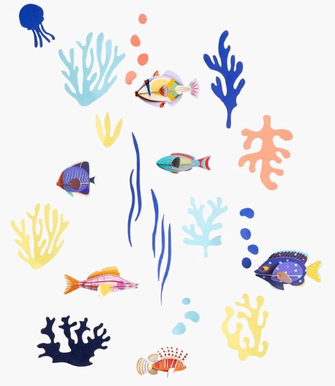 Wall of Curiosities - Fish Hobbyist