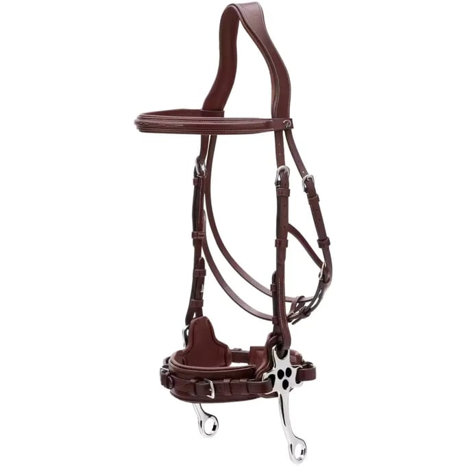 Dy'on Hackamore D Collection By Dy'on Bruin