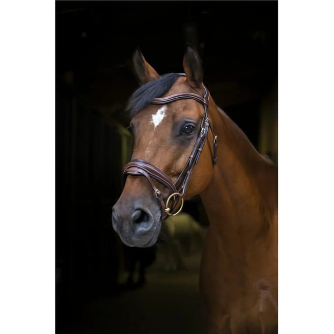 Hoofdstellen voor paarden Eric Thomas PRO "Design"
