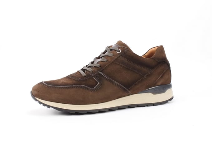 Greve Fury 2923 chocolate merino