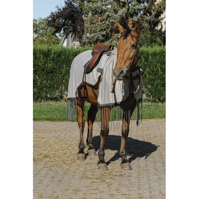 Paardenvliegendeken Riding World