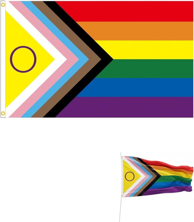 Regenboog Vlag - Pride Vlag - Feestelijke Decoratie - Robuust Polyester - 90 x 150 cm - Multicolor