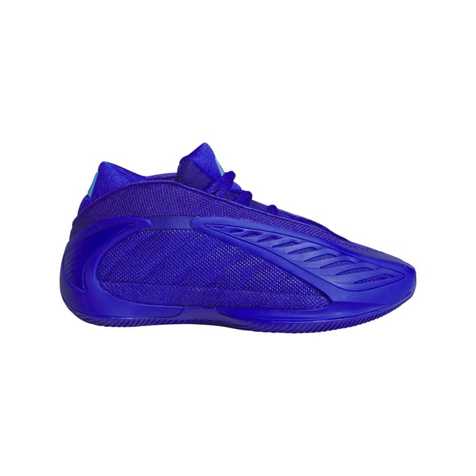 Basketbalschoenen voor kinderen adidas Anthony Edwards 2