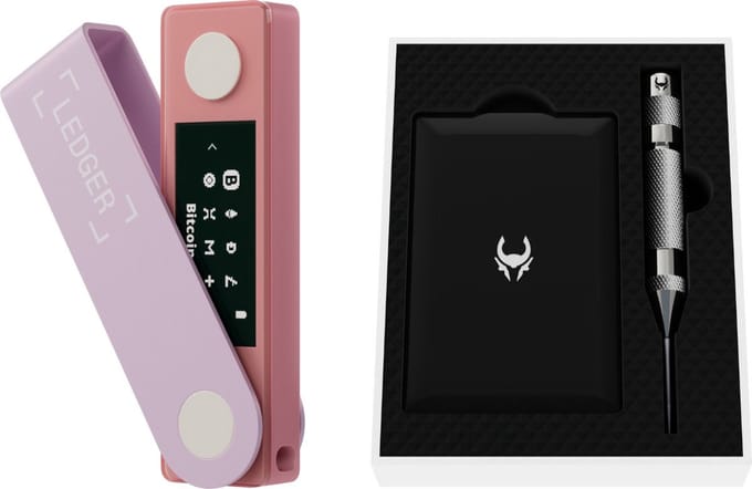 Ledger Nano X Pastel Pink + Cryptotag Loki bundel