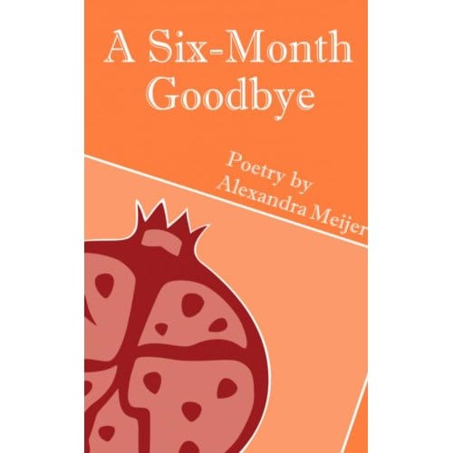 A Six-Month Goodbye - Alexandra Meijer