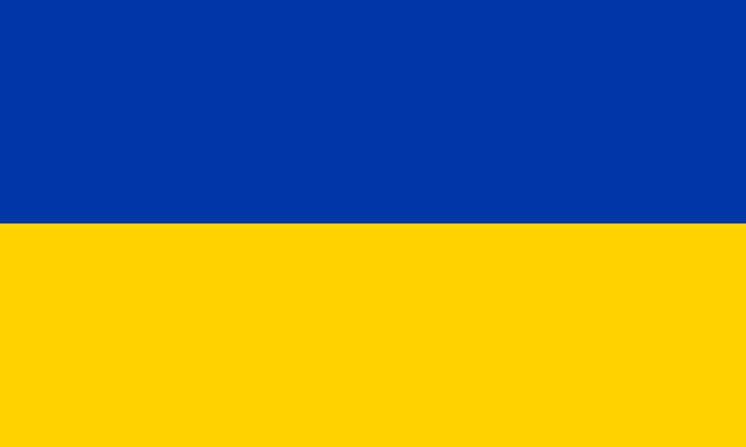 Vlag Brühl 100x150cm