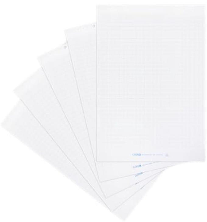 Flipchartpapier geruit voor efficiënt noteren - 20 vellen, 6 perforaties, 5 stuks