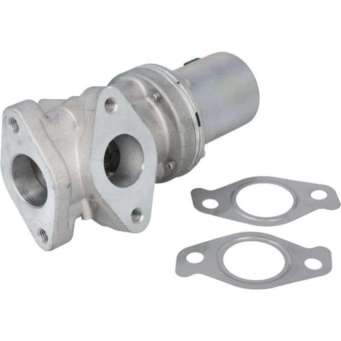 EGR-klep DELPHI EG10618-12B1