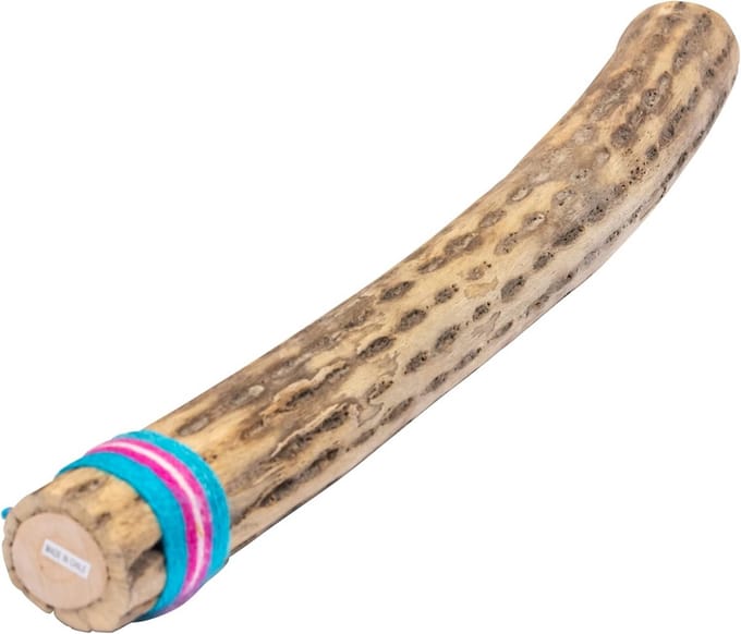 Authentieke Regenstaaf van Cactus Hout voor Natuurgeluiden - 50 cm