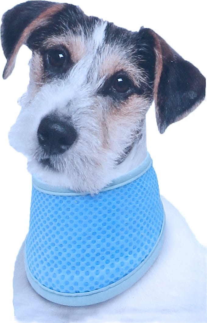 Kowloon Cool bandana PVA blauw XS, 20-30 cm