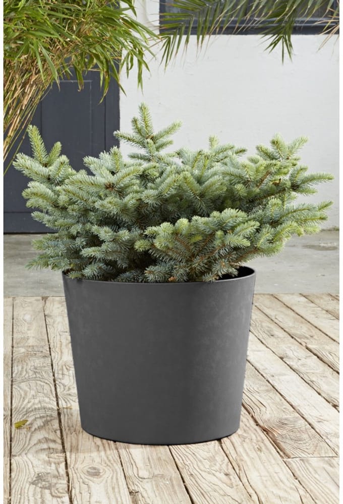 EDA – ELEMENT conische plantenpot – anthraciet – 100 liter