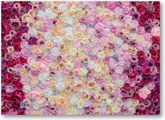Rozenmix - 70x50 Canvas Liggend - Bloemen