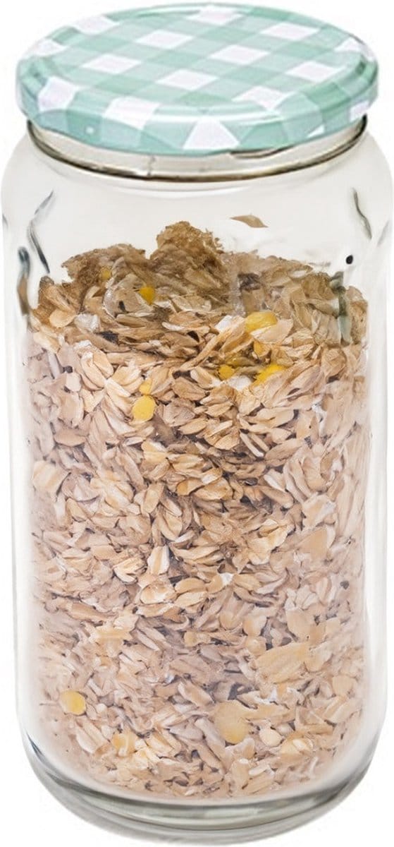 Hega Hogar Weckpot/voorraadpot Classico - 950 ml - kunststof - draaideksel - groen - D8 x H17 cm