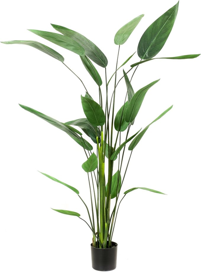 Emerald - Kunstplant Heliconia 175cm - Kunstplant voor binnen