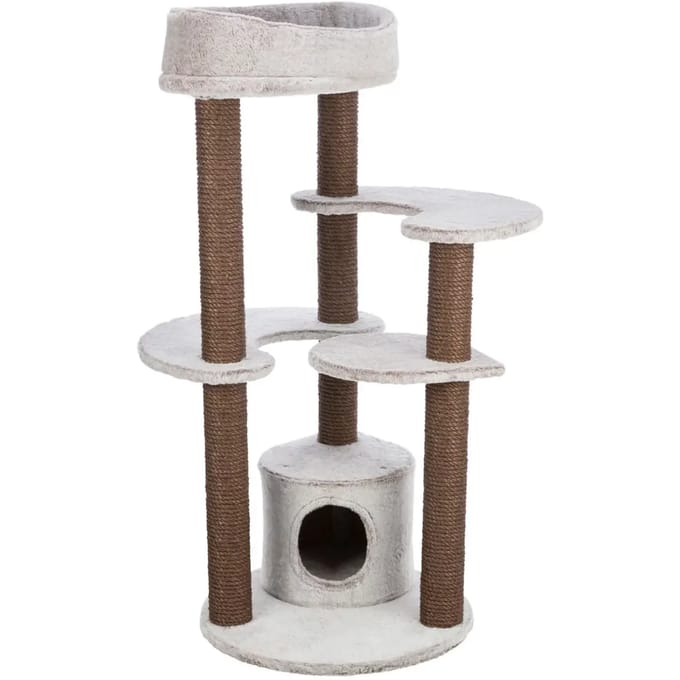 Kattenboom Trixie Afonso