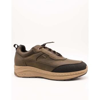 Lage Sneakers Fluchos F2294