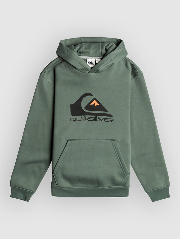Quiksilver Big Logo Kids Hoodie groen