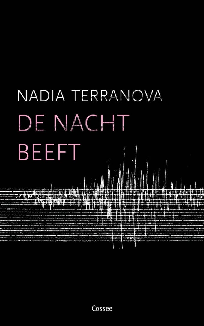 De Nacht Beeft - Nadia Terranova