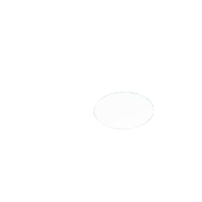 AEG plat afvoerfilter, 8090958045