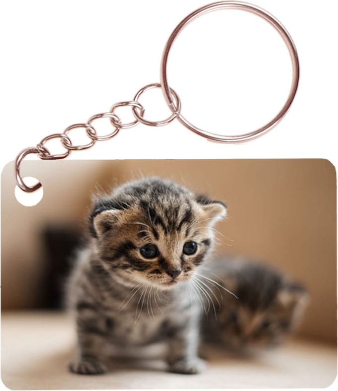 Sleutelhanger 6x4cm - Kittens op Ontdekkingstocht