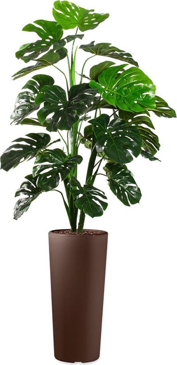 HTT - Kunstplant Monstera in Clou rond bruin H185 cm