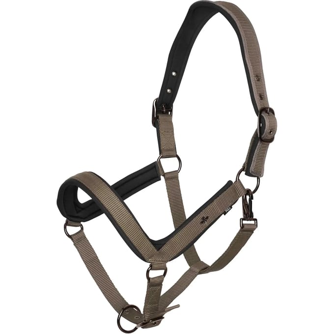 Halster voor paarden HV Polo Essential