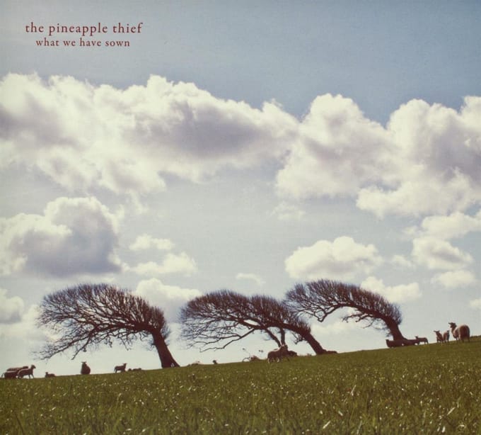 What We Have Sown - Pineapple Thief