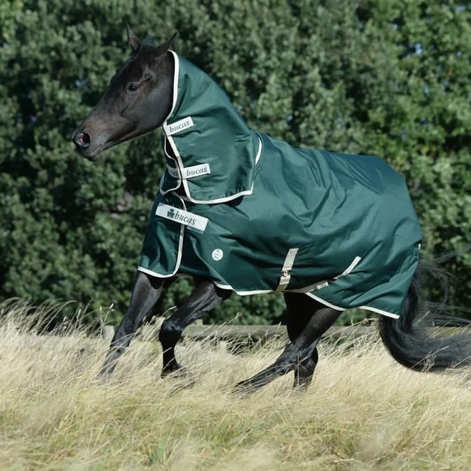 Paardendeken Bucas Greenline