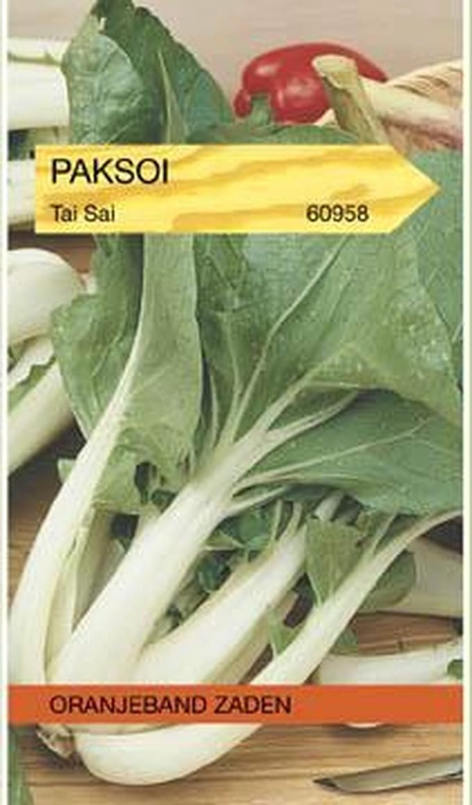 Oranjebandzaden -  Paksoi Tai Sai