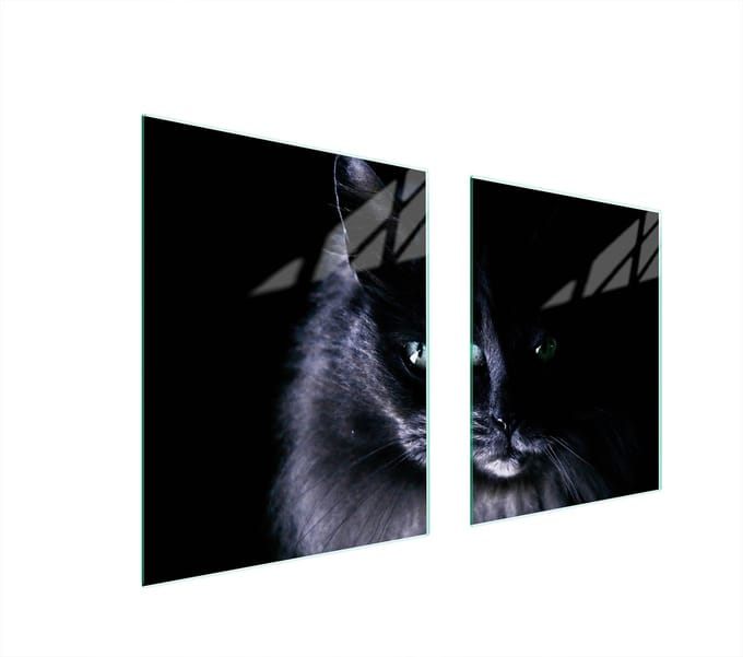 TMK ArtDeko - Glass Protector plaat - 85x52 cm - Kat patroon - Sla bovengenoemd - Veelzijdig