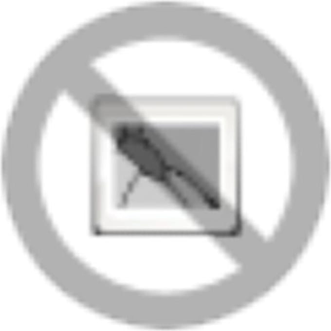 Phoenix Contact ST-REL2-KG 24/1 Steekrelais 24 V/DC, 24 V/AC 6 A 1x NO 10 stuk(s)
