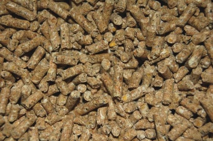Wielink Pluimveekorrel Volledig 20KG