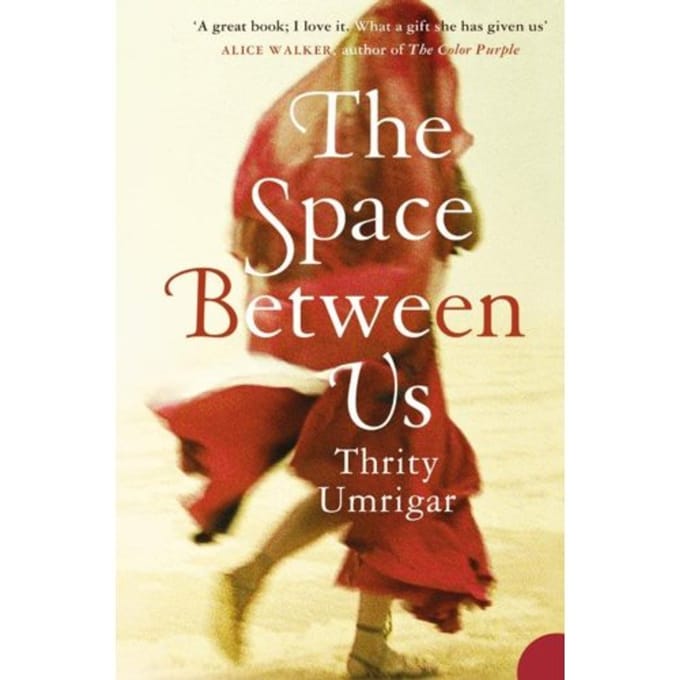 The Space Between Us - Thrity Umrigar