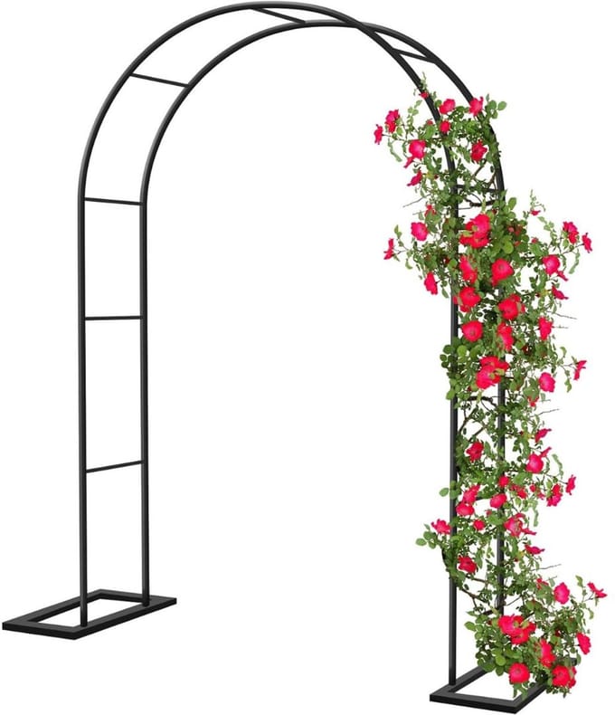 ApexArte® Metalen Tuinboog - Rozenboog - Trellis voor Planten