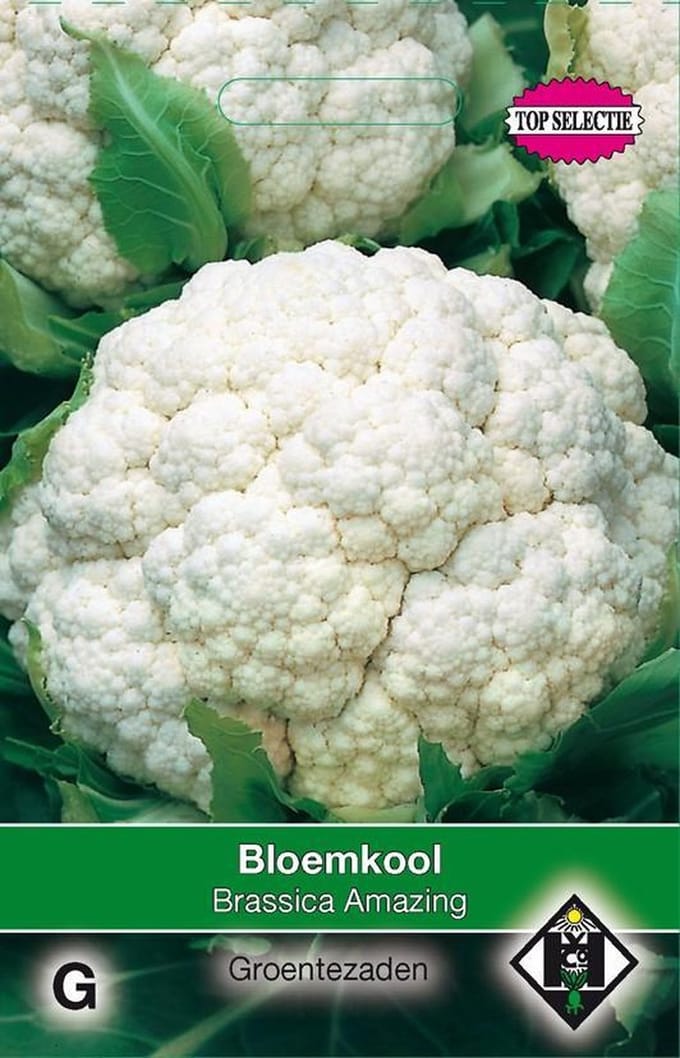 Van Hemert - Bloemkool Amazing