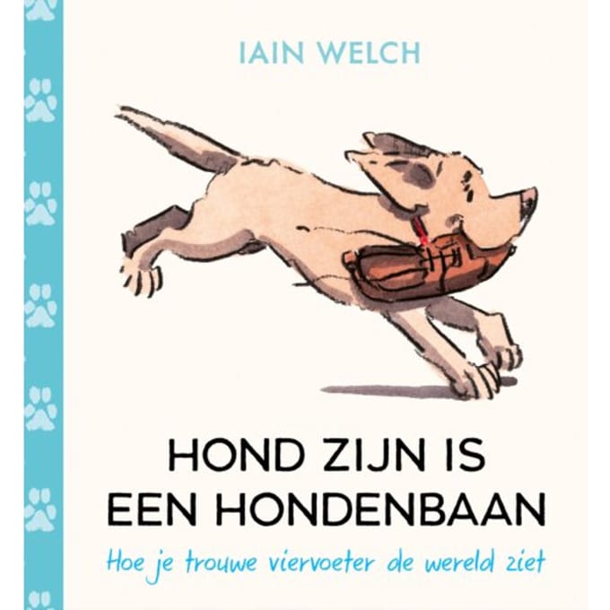 Een Vriend Voor Het Leven - Iain Welch