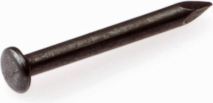 Hoenderdaal Draadnagel bombe kop staal geblauwd 2,5x40mm