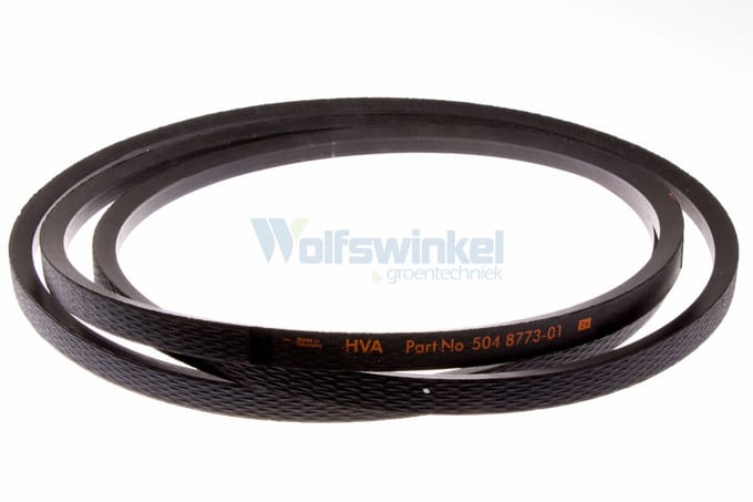 Belt