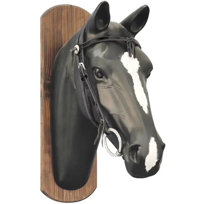 Paardenhoofdstel van leer met teugels Lakota Grasso