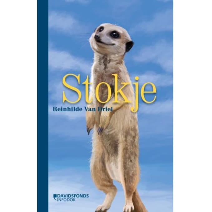 Stokje - Reinhilde van Driel