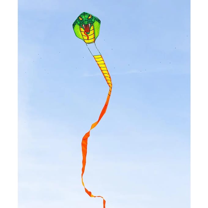 Ecoline Vlieger Emerald Cobra Kite Spanwijdte 670 mm Geschikt voor windsterkte 2 - 5 bft
