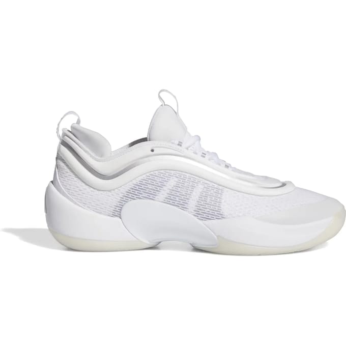 Basketbalschoenen adidas D.O.N. Issue 6