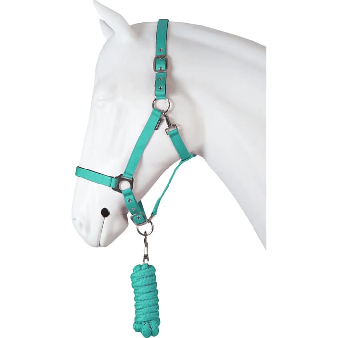 Horka Halsterset Dime Baltic Maat Mini