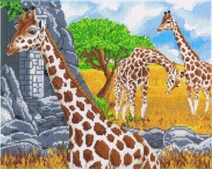 Diamond painting FRAMED - 40x50 cm - Giraffe